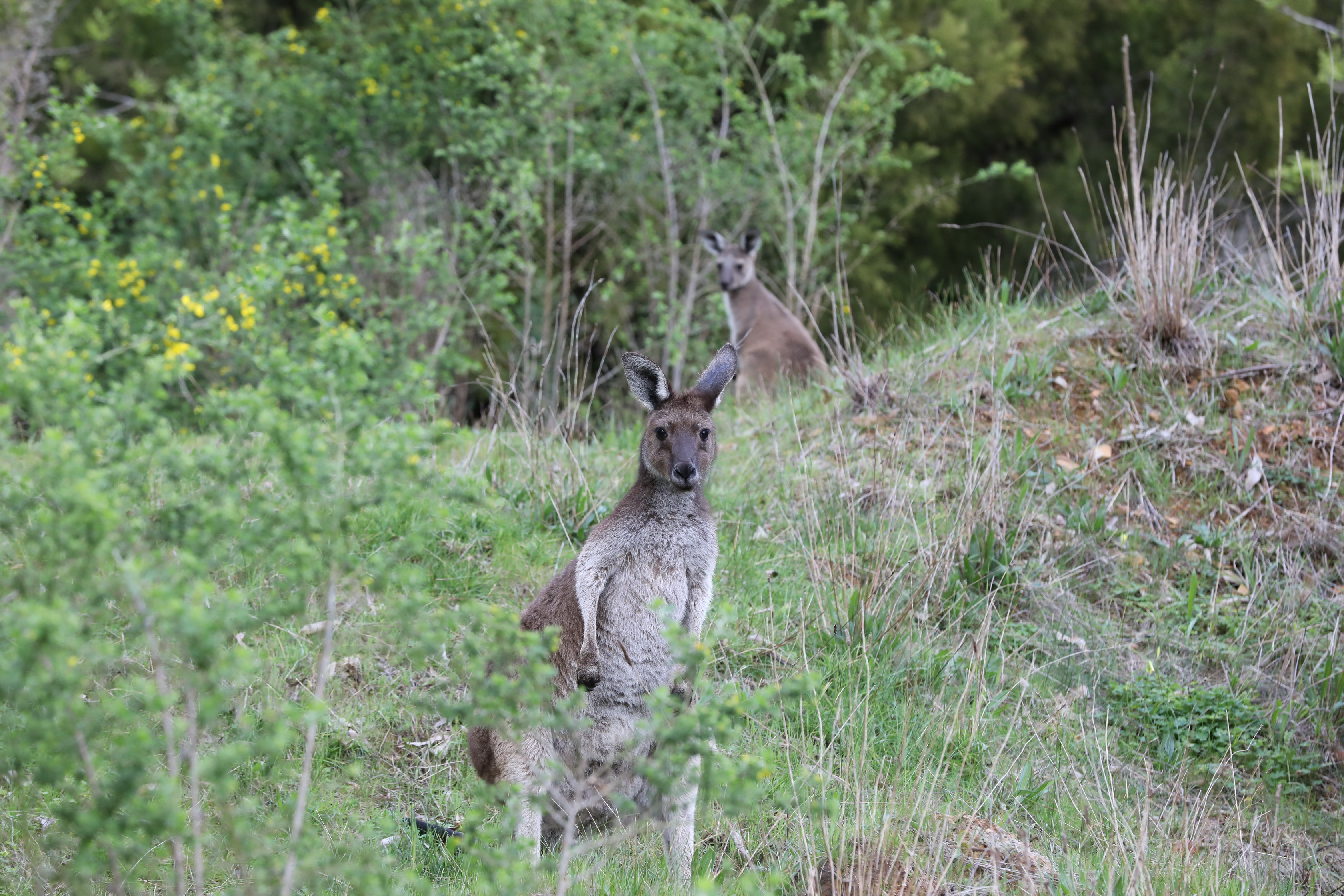2019 09 21 15 56 40 Canon EOS 5D Mark IV 0014